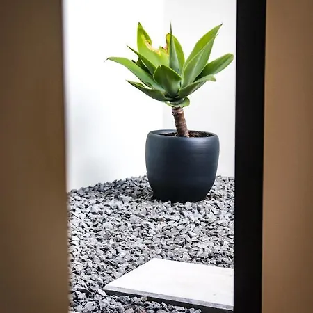 Aljube Residences I - Novo, Com Terraco, Centro Pdl Apartman Ponta Delgada